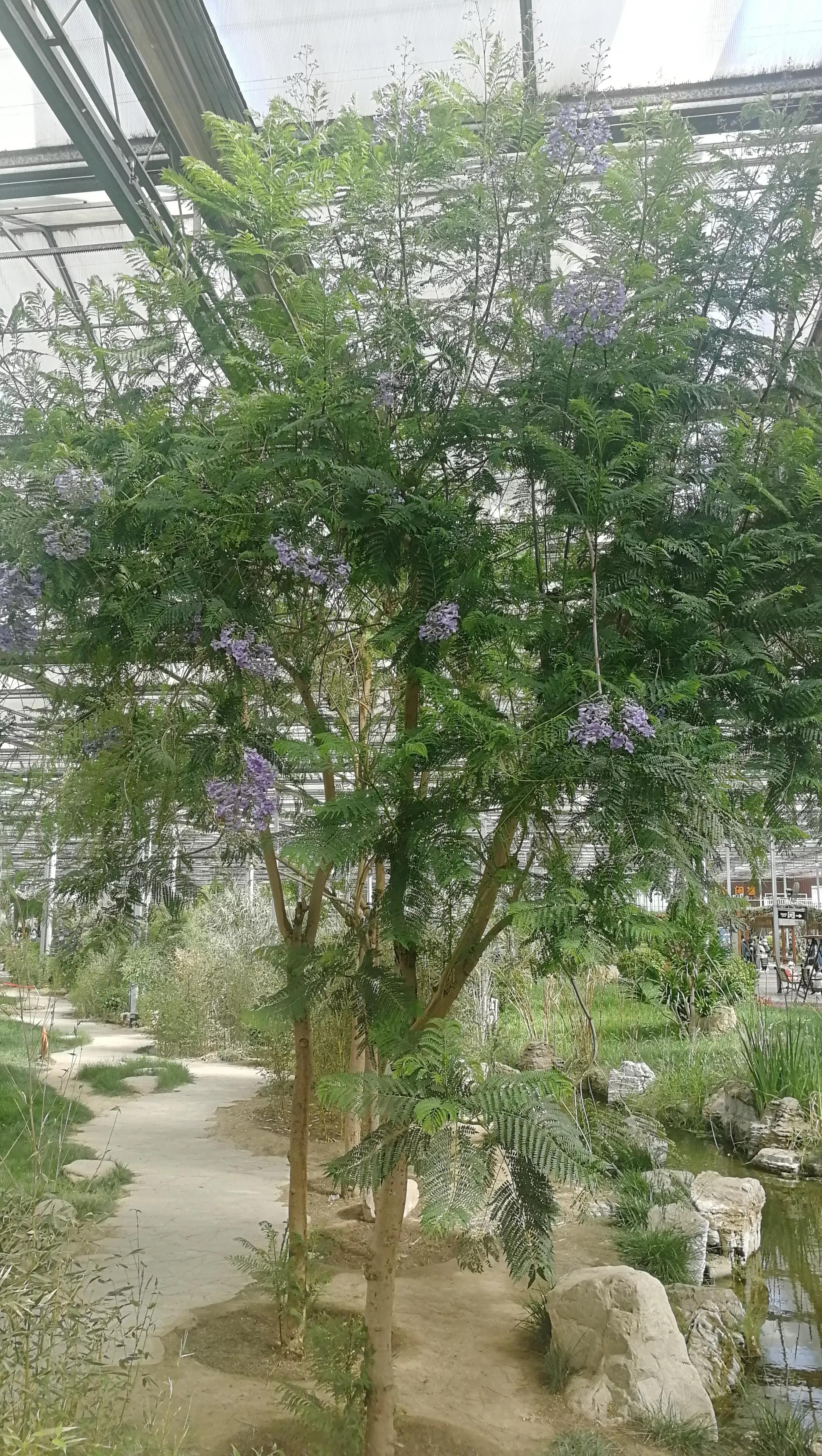 九天休闲谷现在去热吗,九天休闲谷完整版