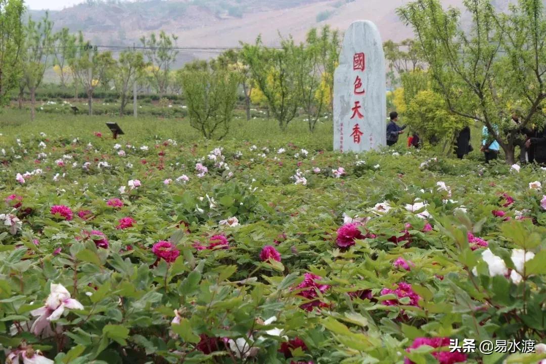 易县狼牙山小火车,河北保定易县火车