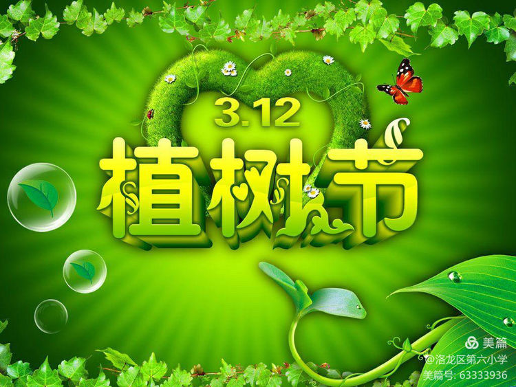 植树节拥抱春天播种绿色放飞希望,2022年植树节主题拥抱春天