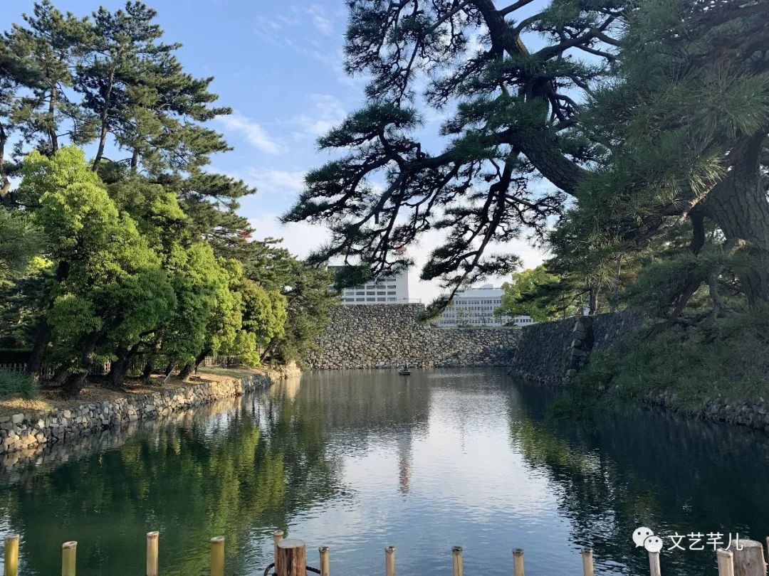 鏂囪壓鑺婂効鐢熸棩,鏂囪壓鑺婂効鐩存挱