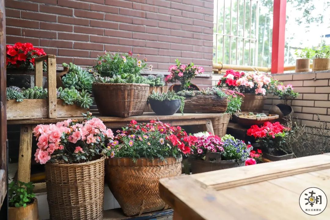 閿﹀煄鐨囧璐垫棌瀛﹂櫌,鎴愰兘閿﹀煄璐垫棌瀛﹂櫌