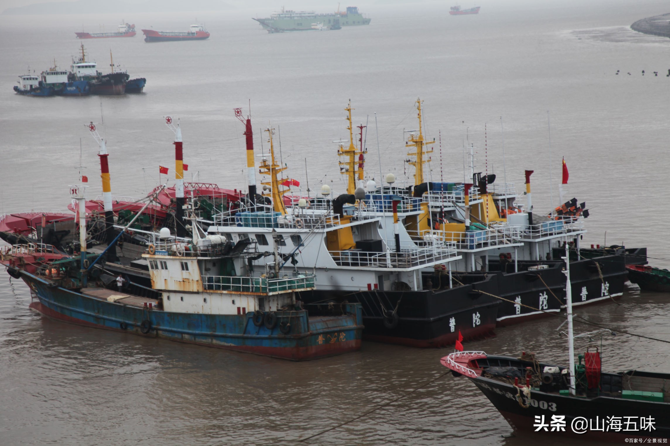 休渔期有什么海鲜,7月休渔期还能吃到什么海鲜