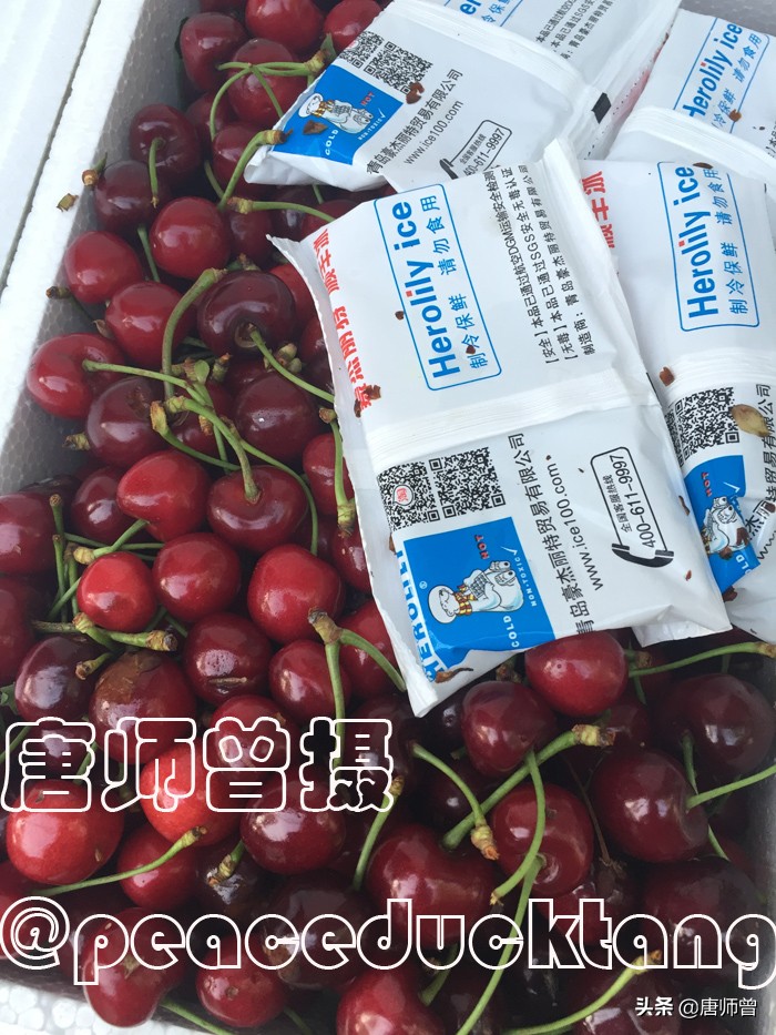 20210604唐师曾:红了樱桃