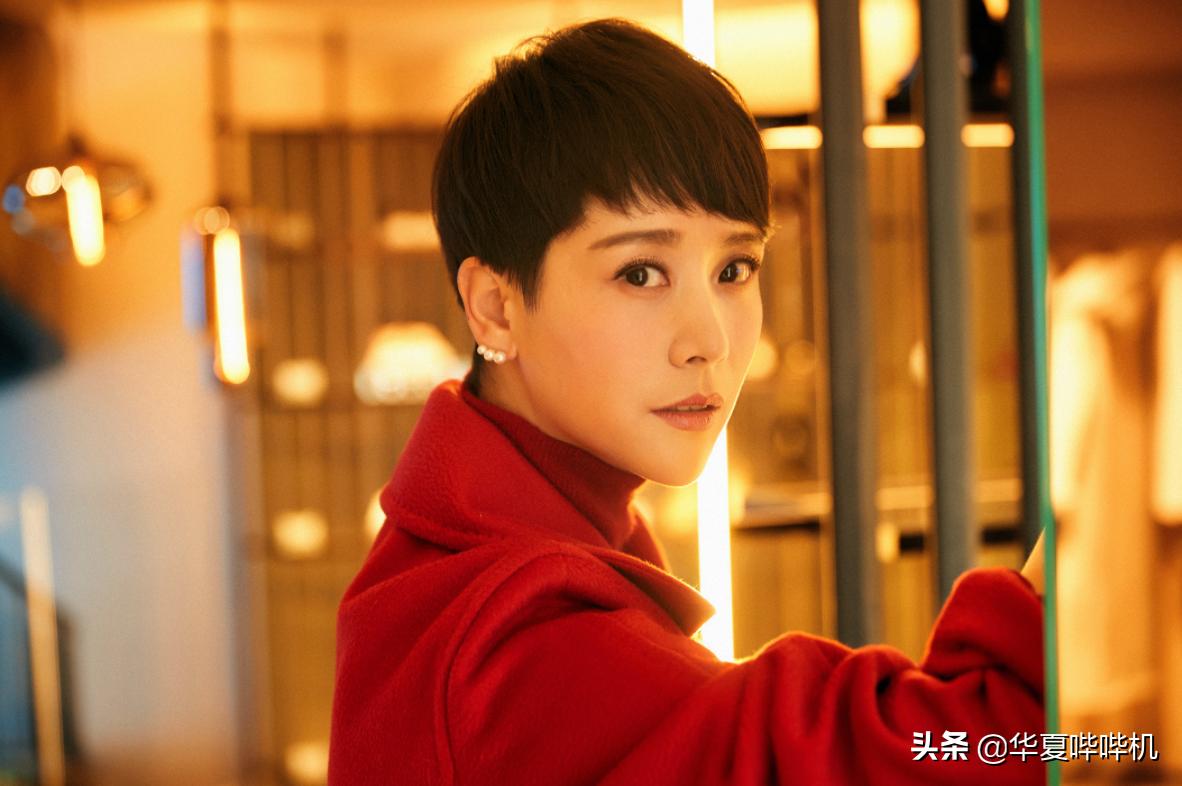 海清无戏可拍的原因,海清哭诉没戏拍的时候