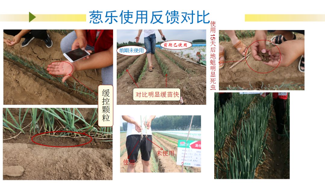 一浇水就没虫!真的吗?智能缓控释颗粒,向您推荐的五大理由