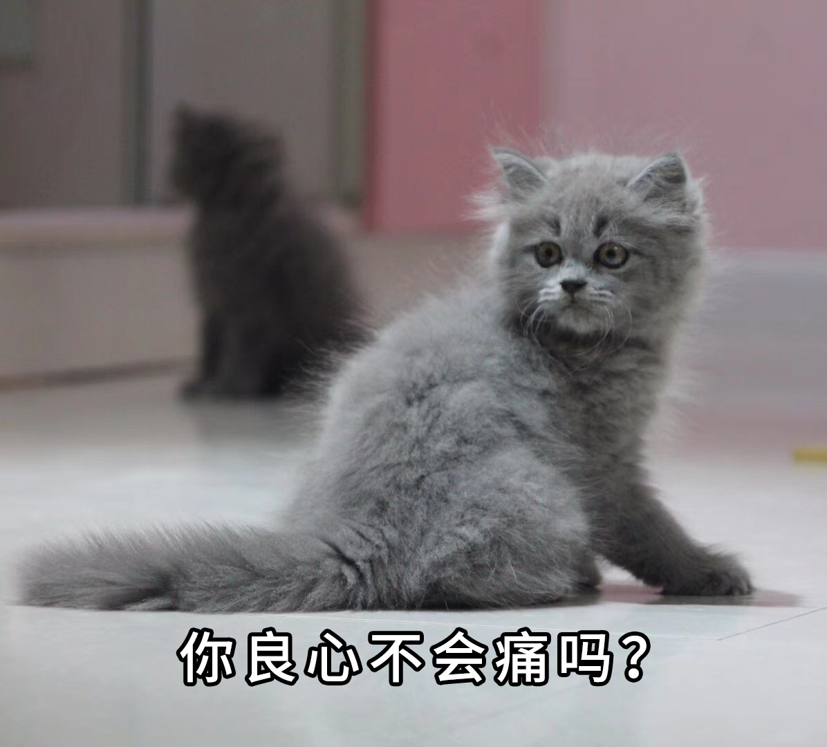 奇怪!一篇连加减乘除都没算对的帖子挽救了燕郊楼市的尊严!