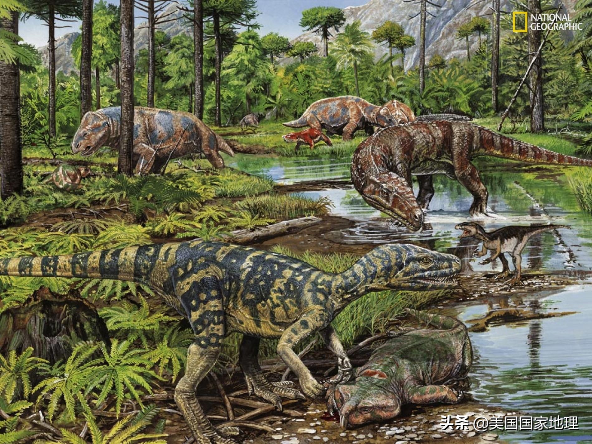 为什么两岁多的小孩得癌症,为什么小孩也得癌症