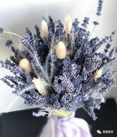 衣草精油真假辨别方法视频,薰衣草真假辨别图解大全