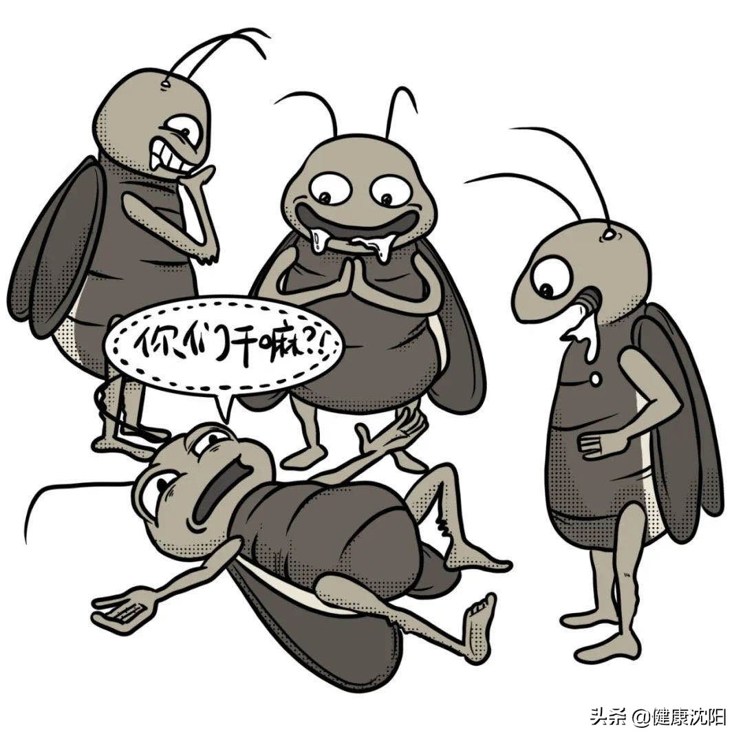打不死的小强怎么预防,健康消灭蟑螂方法