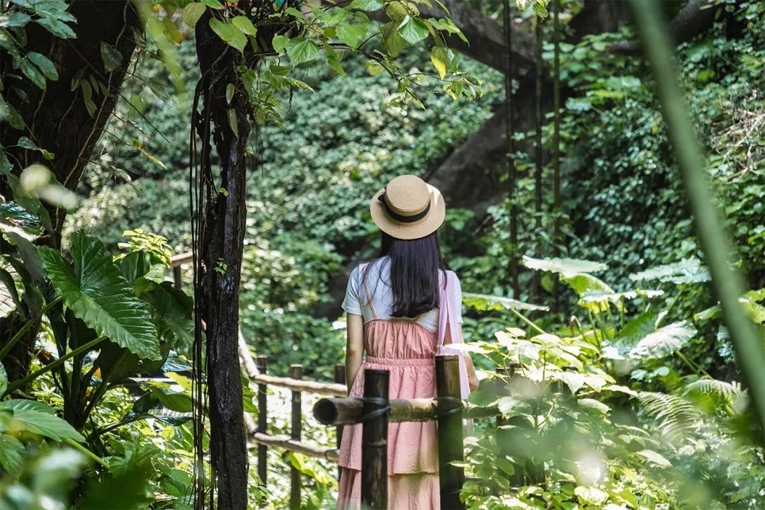 深圳10大旅游好去处,深圳盐田区周末休闲浪漫好去处