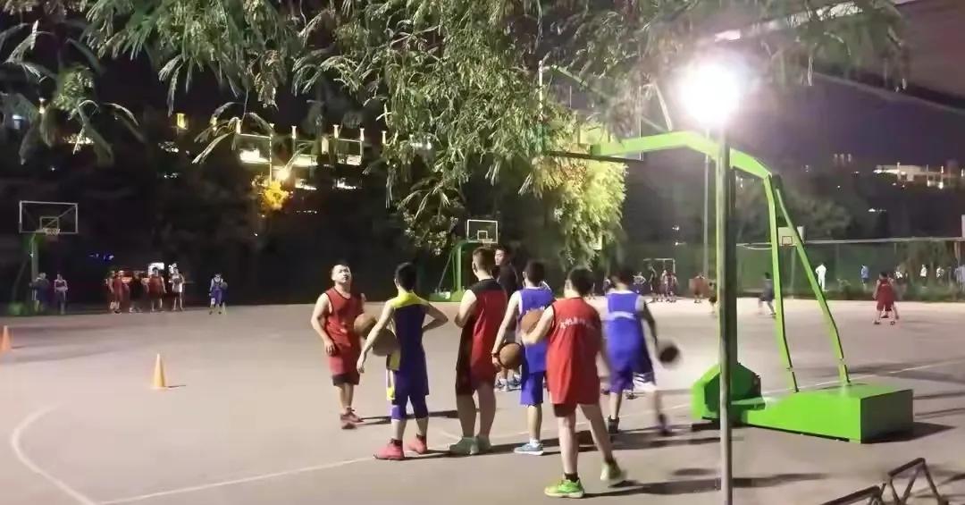 体育元素创意,体育元素节目