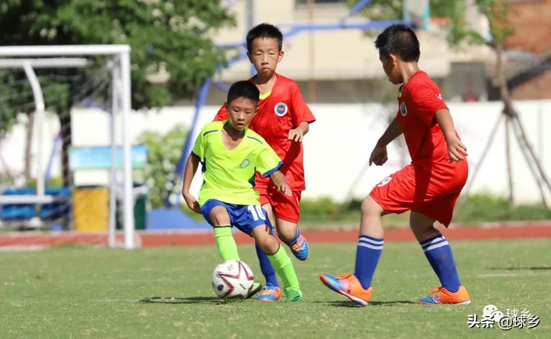 区中小学足球联赛,体教融合杯中学篮球赛