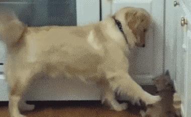 魏巍十大临床案例,魏巍临床经典案例