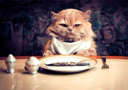 减肥吃火锅后补救方法,减肥吃了油炸食品怎么补救