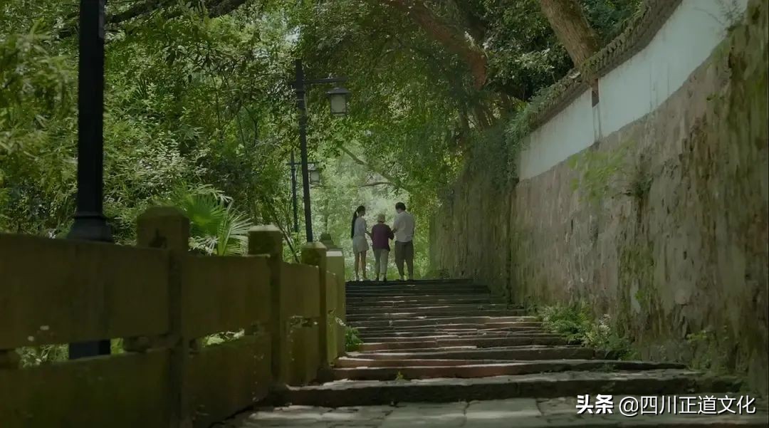 值得看的电影春天,春天的电影名字