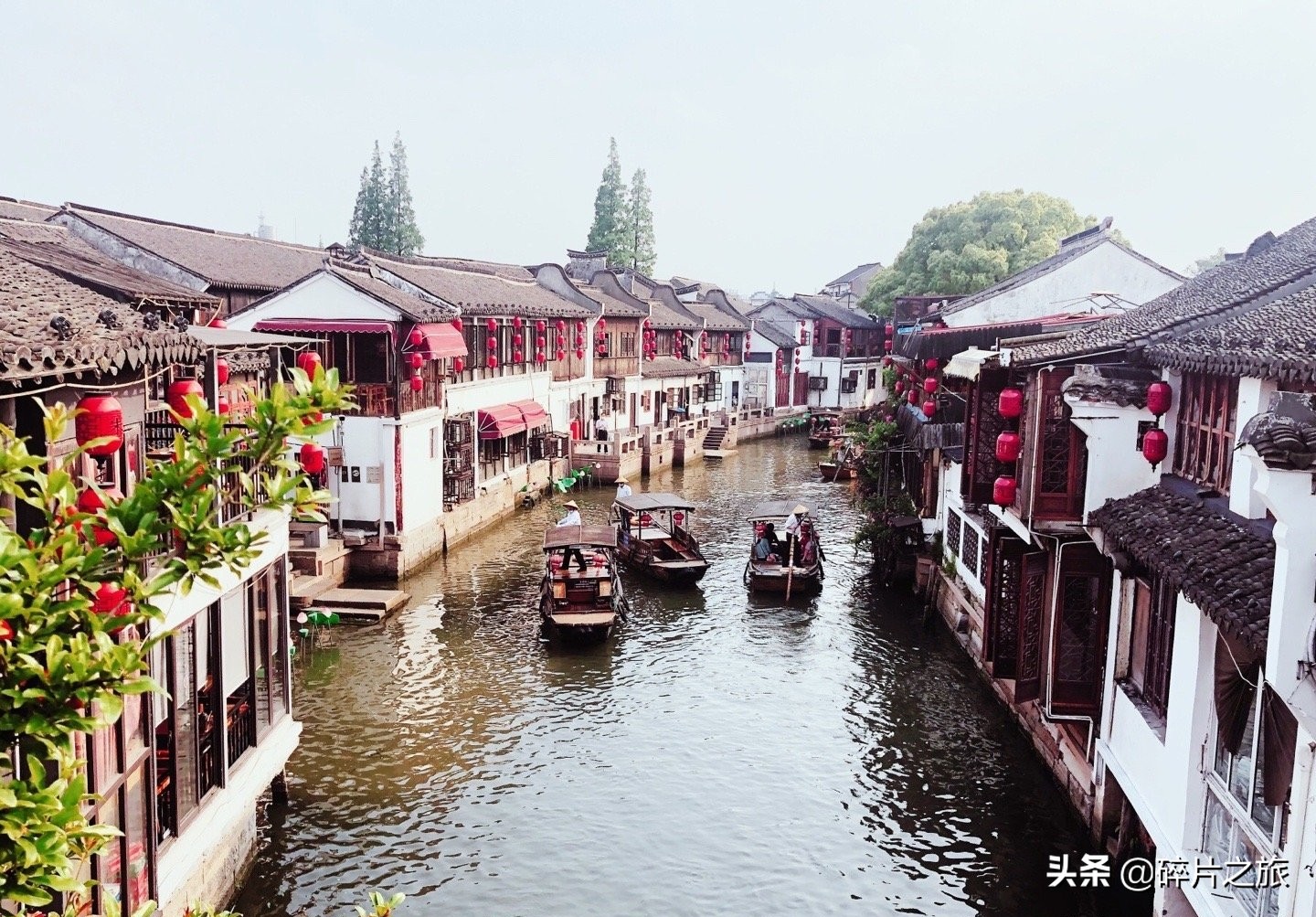 上海攻略经典七日游,上海七天六晚旅游攻略