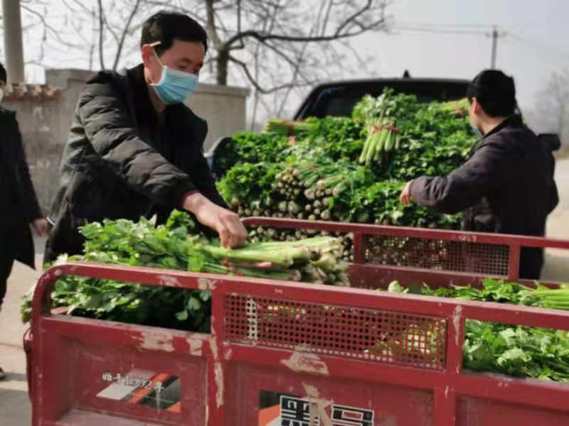 原农村的代购代销员,山村党员代购员有哪些