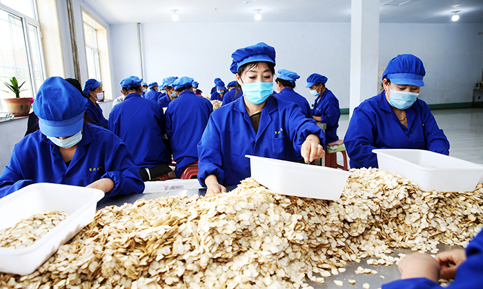 走向我们的小康生活1,走向我们的小康生活安居篇