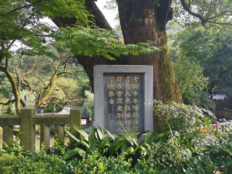 长沙自驾旅游路线推荐岳麓山景区,湖南醴陵渌江桥旁状元洲