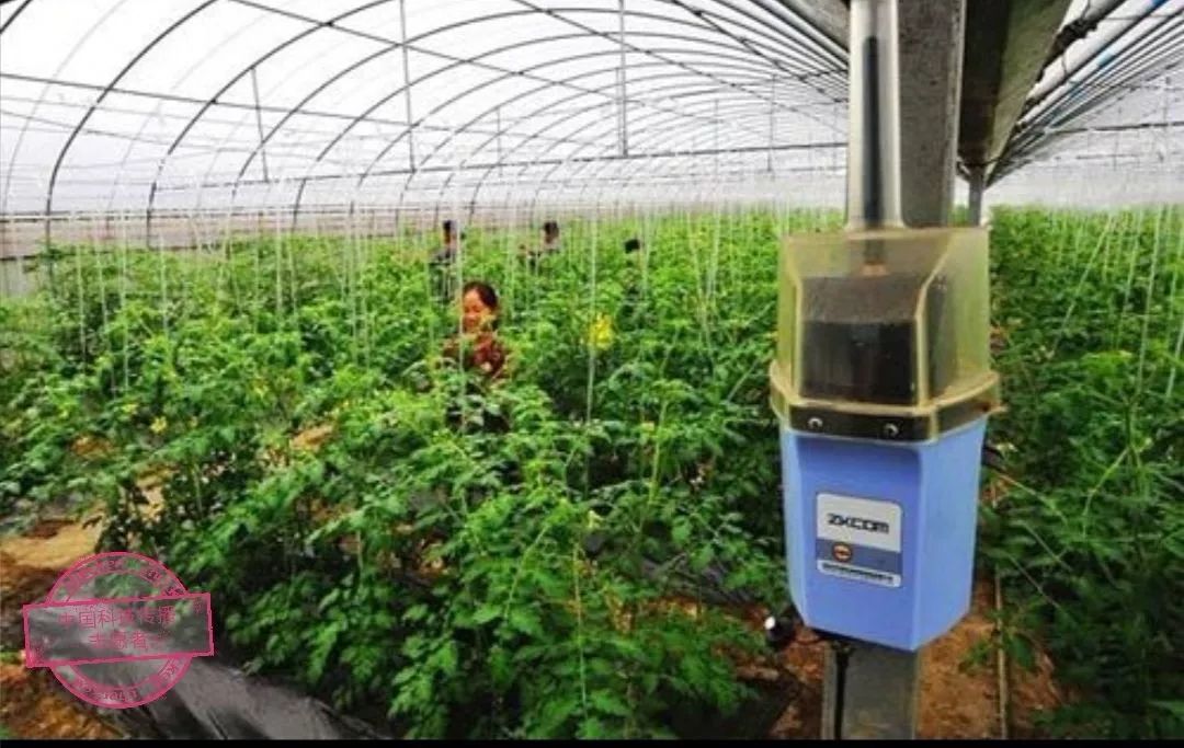 沙漠蝗灾防控措施,国家允许养殖蝗虫吗