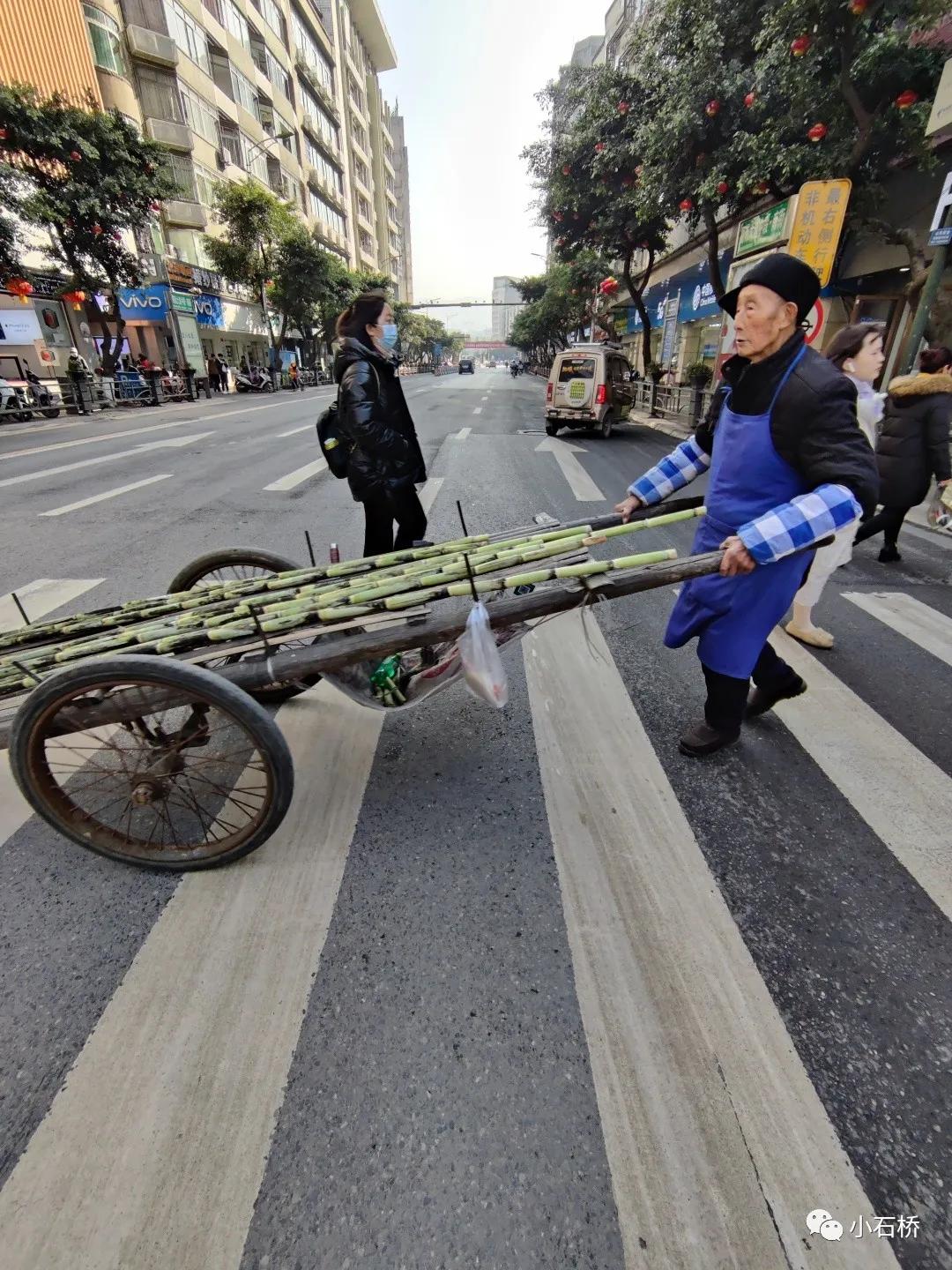 宜宾纪行:心心念念是李庄