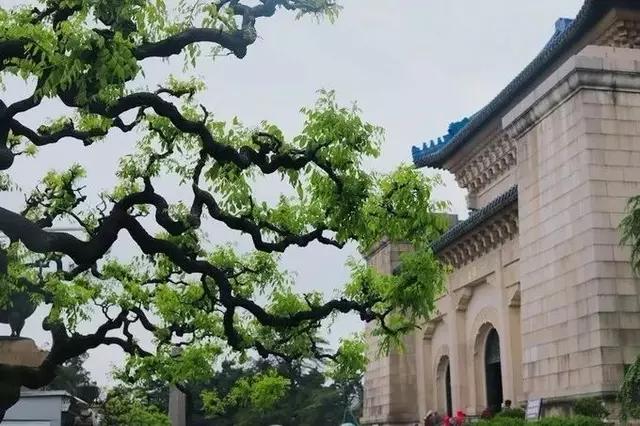 南京的春天,南京的春天视频