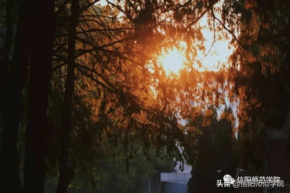 日落大道浪漫出逃歌词,在日落大道浪漫出逃下一句