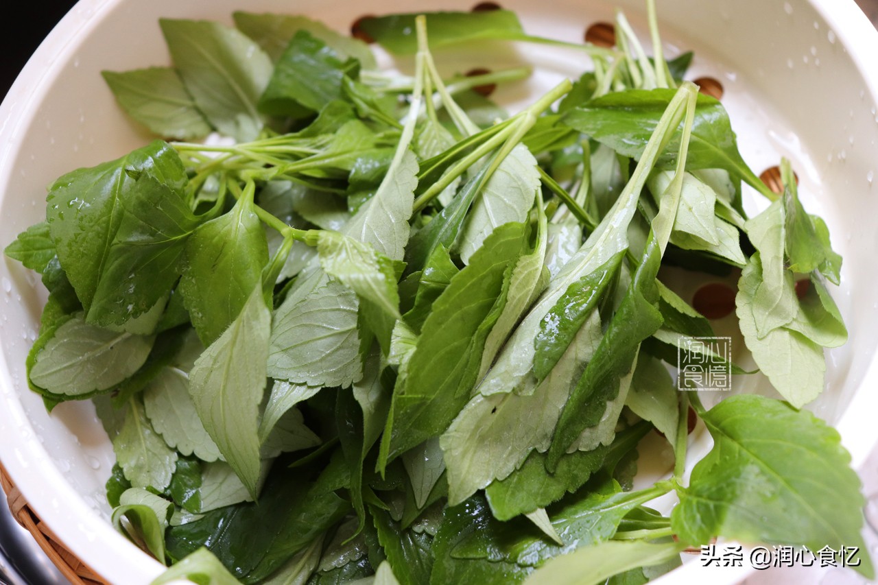 快立夏了，碰见这种时令野菜抓紧吃，营养足鲜又嫩，过阵子就少了