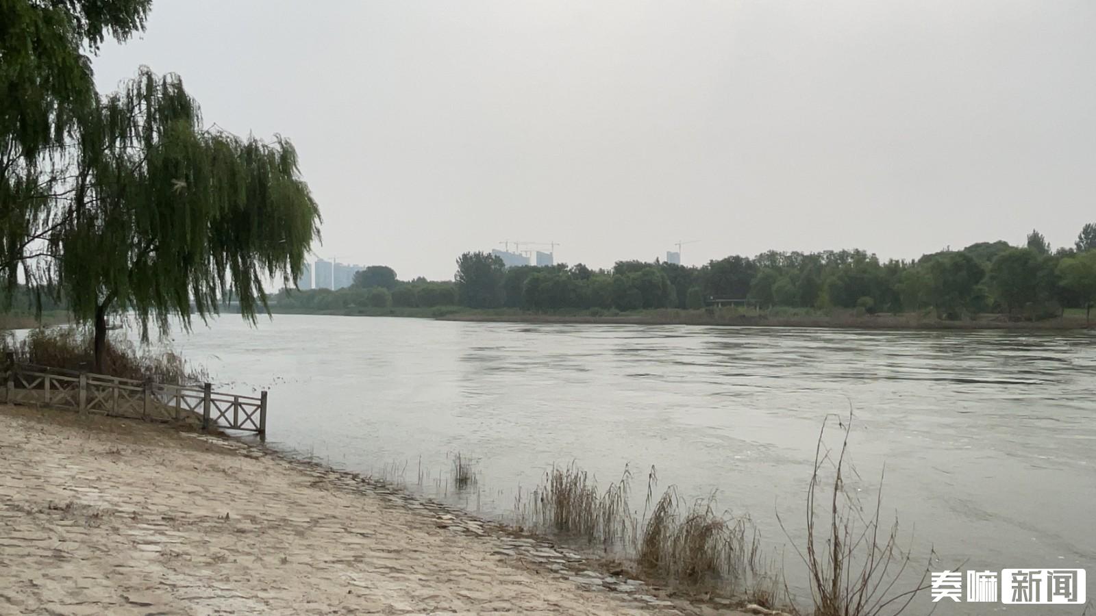 减河公园美景,近期减河湿地公园