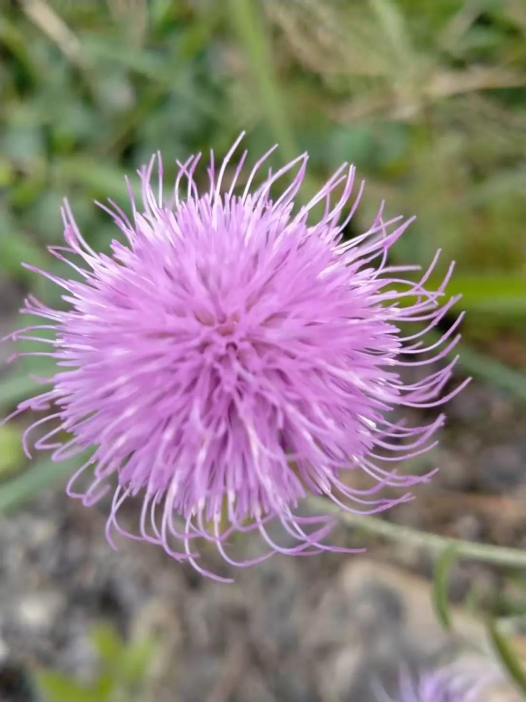 有了家庭的你，如果再现“桃花运”该如何处理？