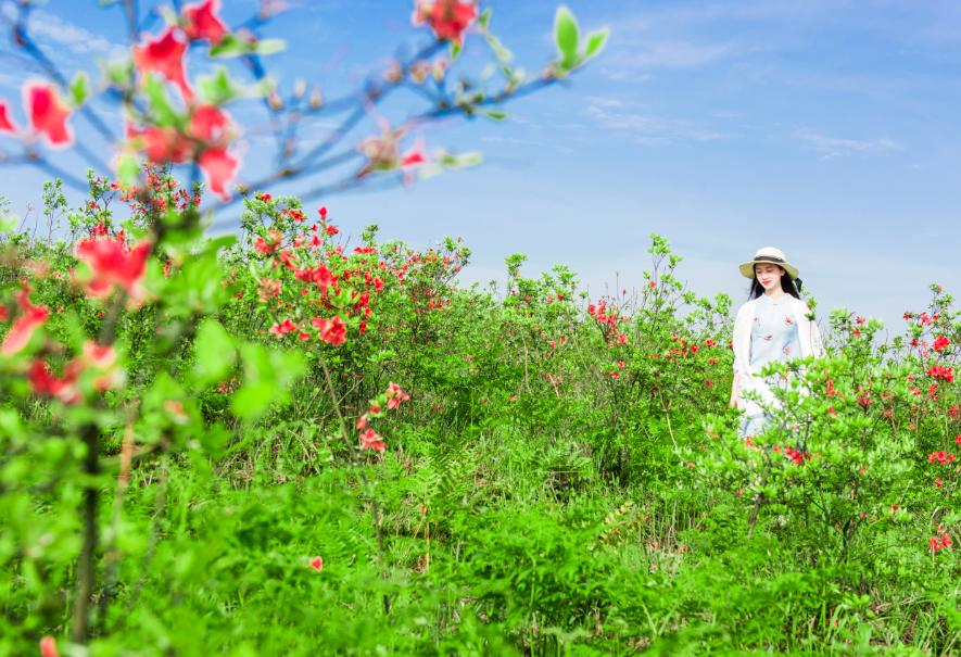 仙人街景区赏花攻略,吉尼斯打卡仙人街
