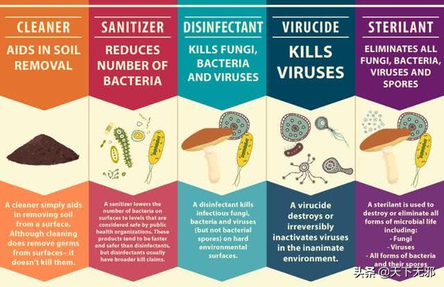 美国*教邪**创世纪II教会炮制治疗新冠肺炎神药