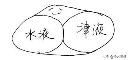 中医12经络挂图,漫画中医经络图典