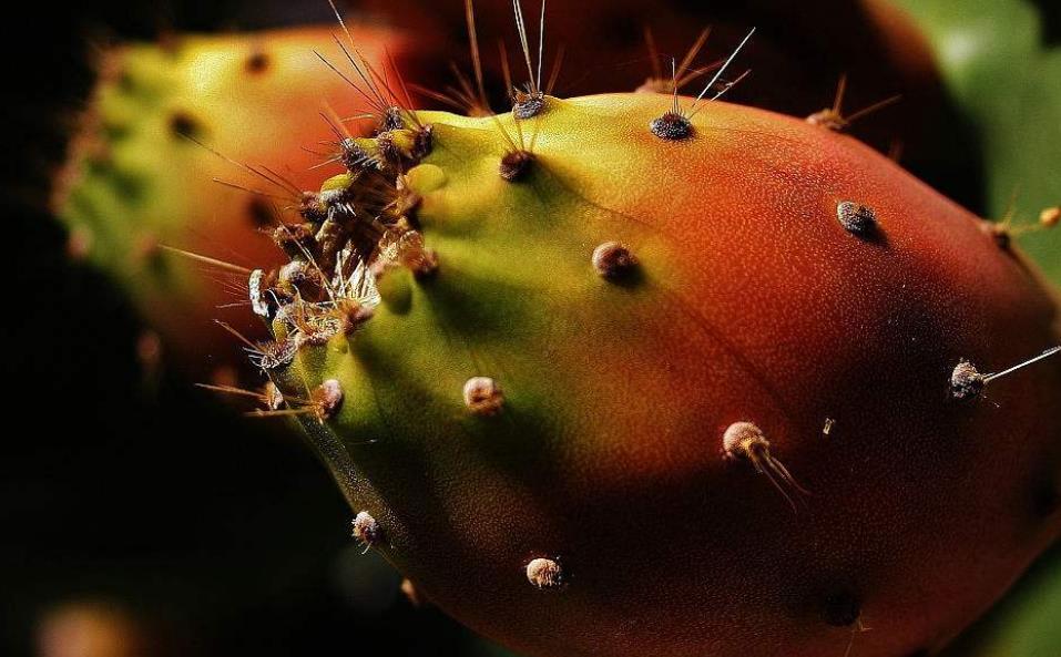 做人不要太锋芒毕露学会低调处事,为人处世只要懂得这三条规则