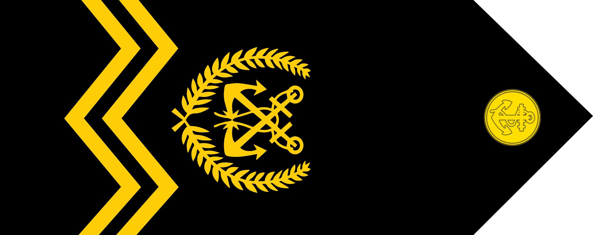 民国国军军装军衔标识,马来西亚军队军衔图集