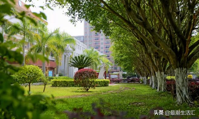 五华田家炳中学美术,五华田家炳中学简介