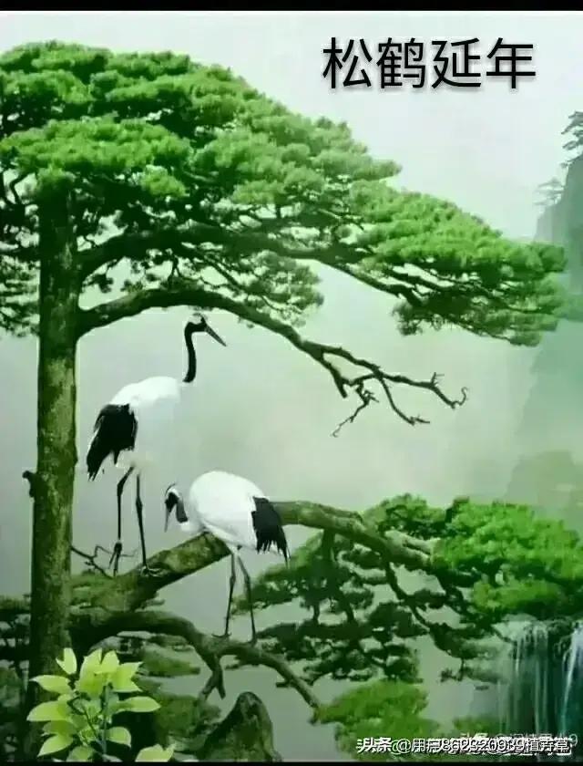 虫草山水画,四季花草山水画作品欣赏