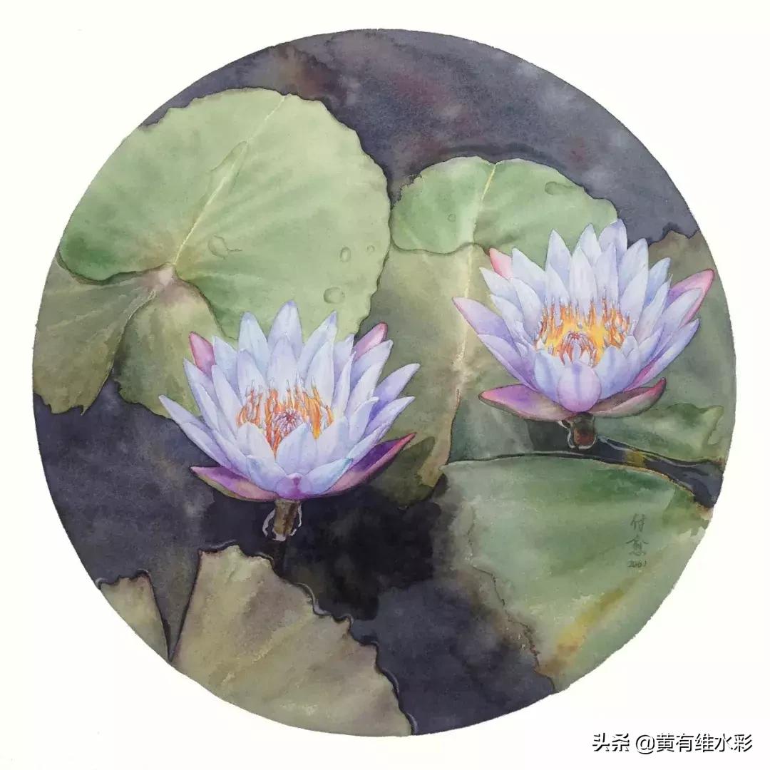 小清新水彩画玫瑰花,水彩画雨中玫瑰