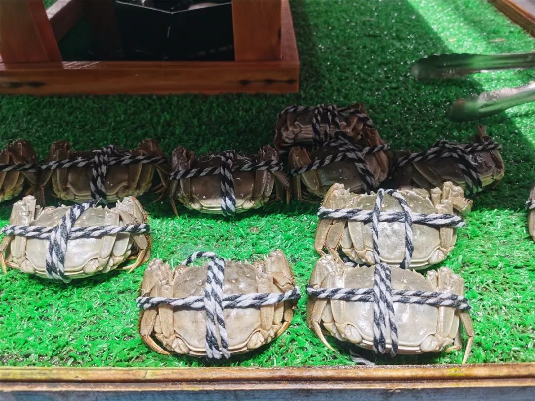 蹲点探店记录,蹲点考察绝味鸭脖