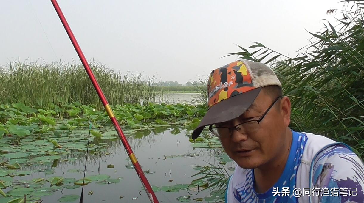 河北发货的鱼竿是正品吗,河北鱼竿工厂店