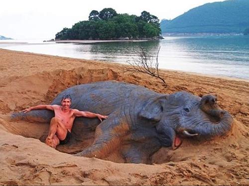 老外沙雕动物视频,外国人沙雕模仿动物