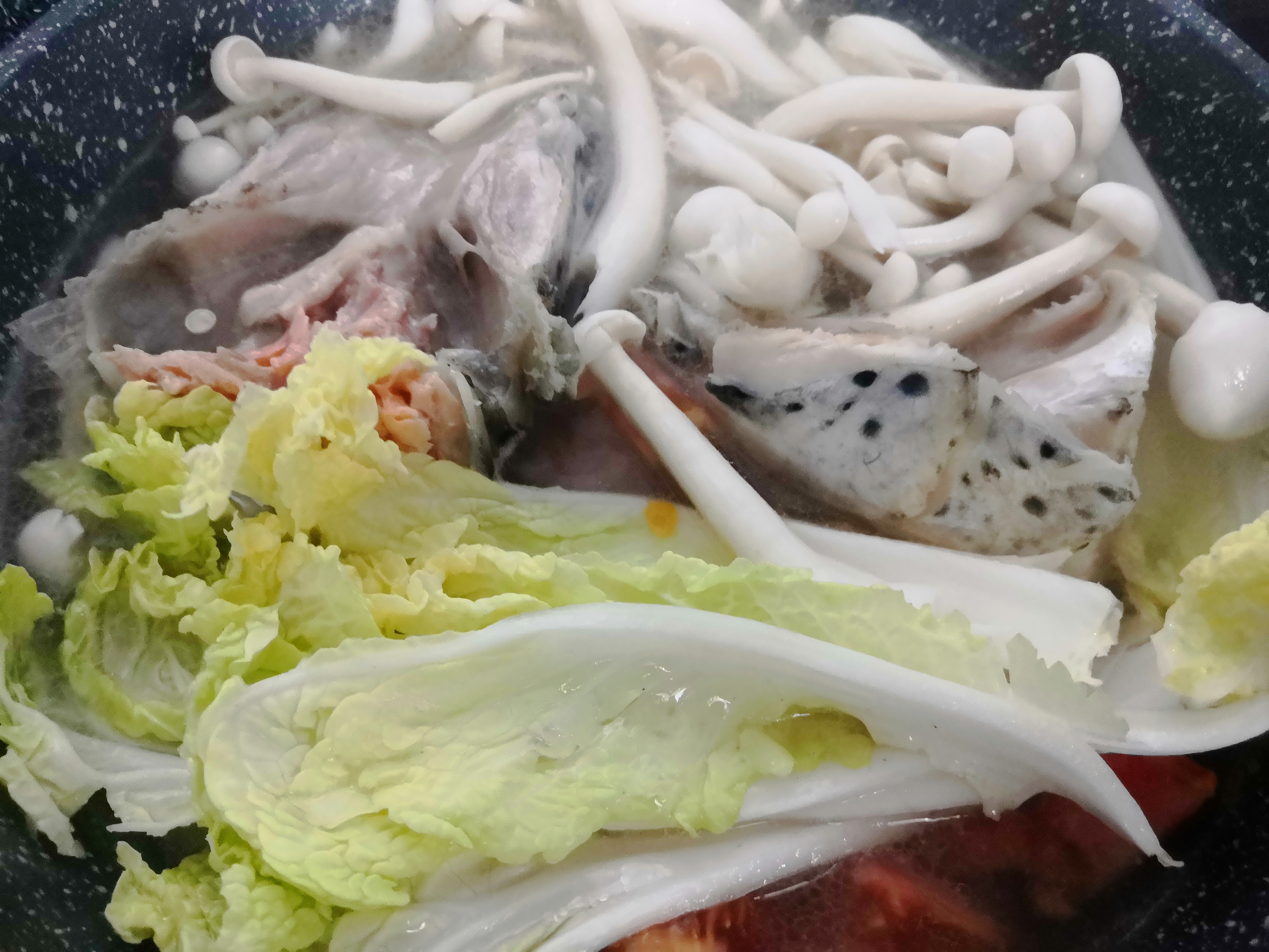 炖了两个小时的鱼汤,炖三文鱼鱼汤如何又白又浓稠