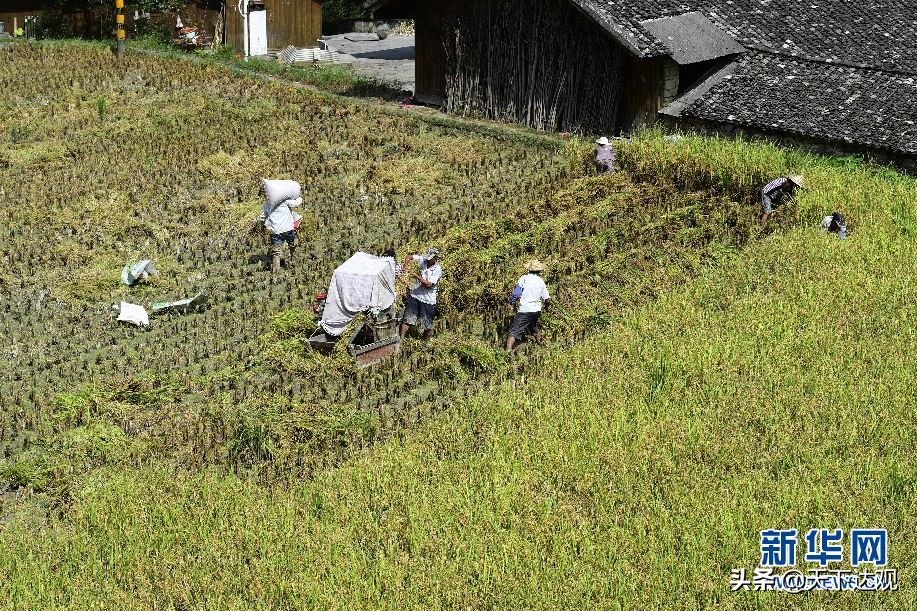 走遍中国之恩施,来凤县古巴族后裔