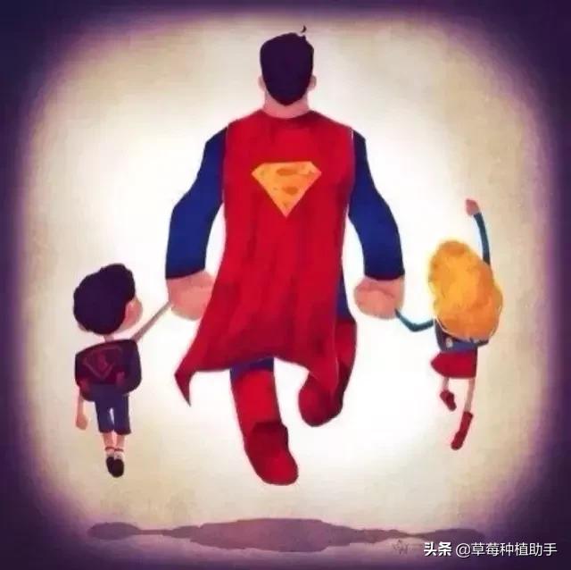 种草莓的人是什么人,种草莓的都是情场老手吗