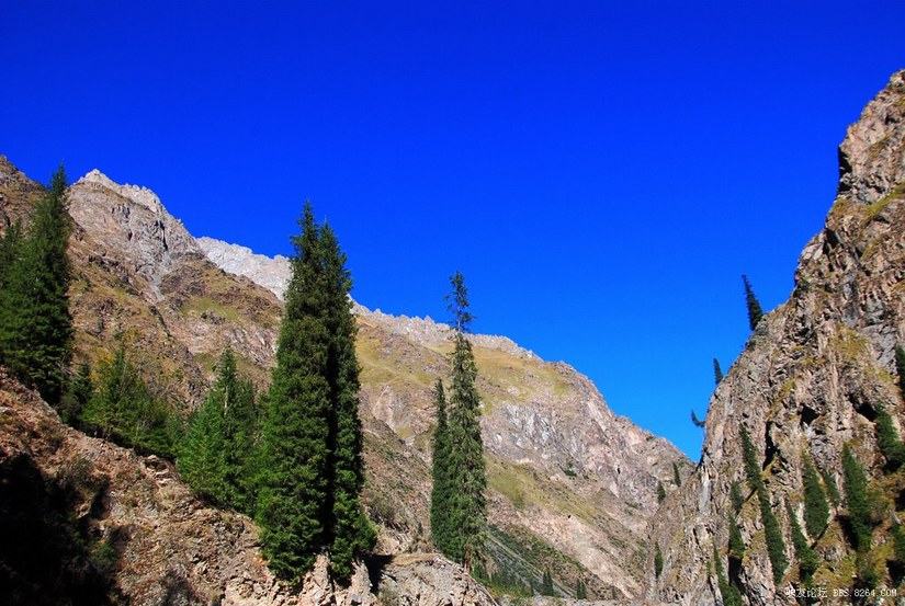 狼c调简谱教唱,狼c