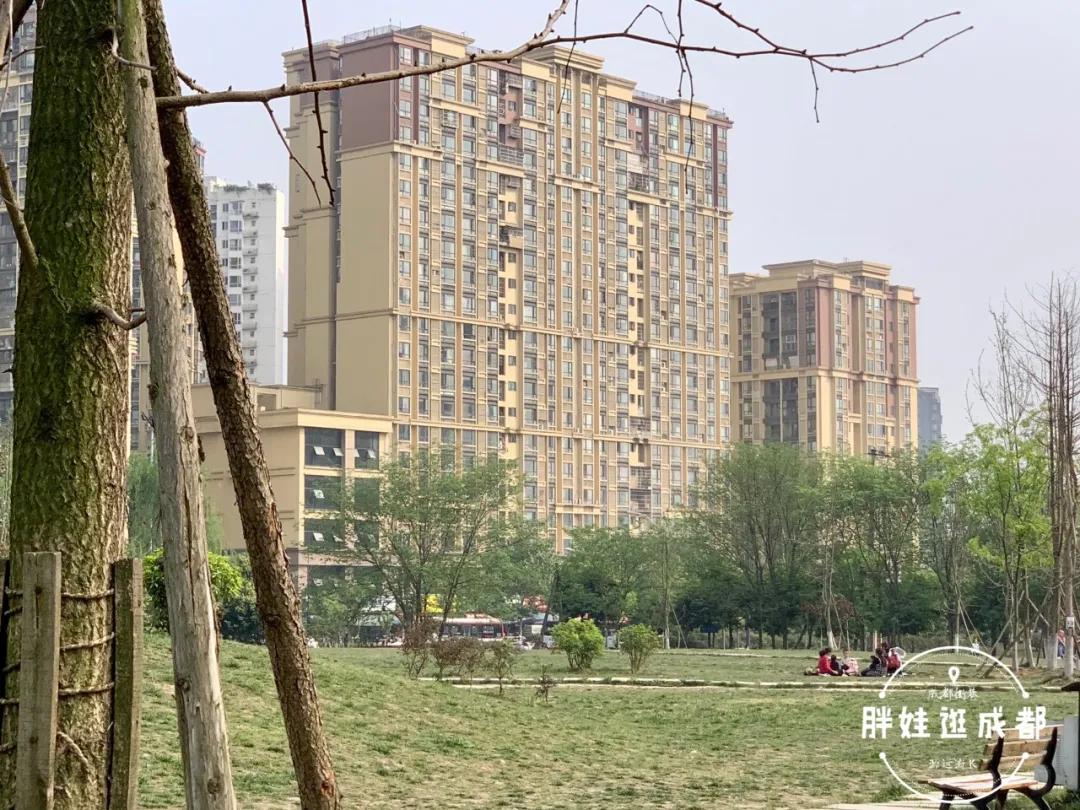 成都羊子山路遗址,成都羊子山古蜀文化街区