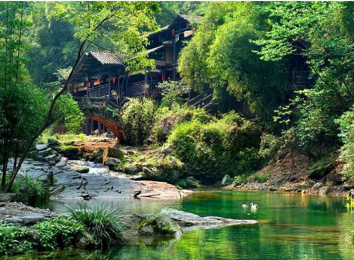 春天梅花开原创诗句,原创诗词梅开二度