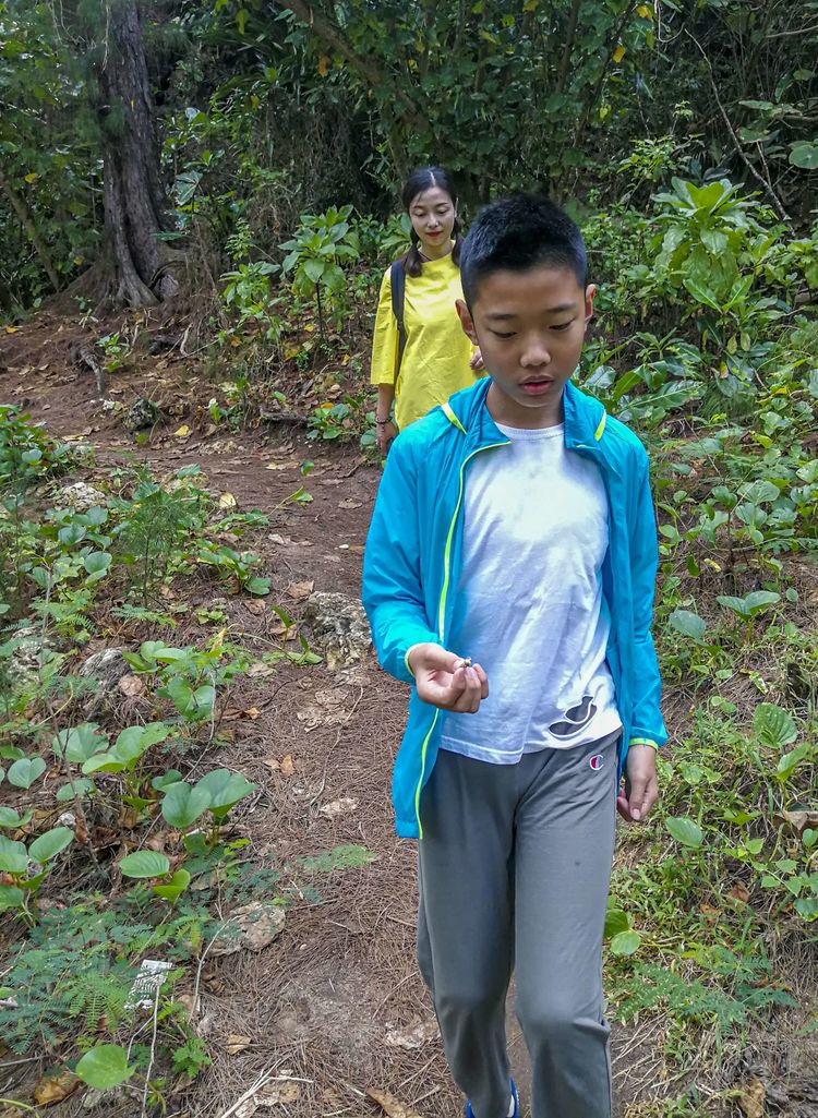 血战太平洋之塞班岛,塞班岛太平洋血战