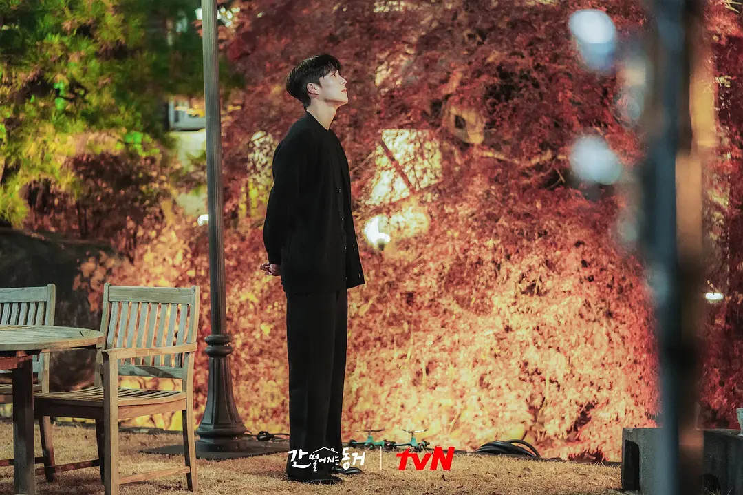 李惠利新剧最新预告,李惠利治愈新剧