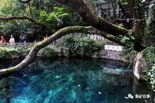 游记——彩云之南